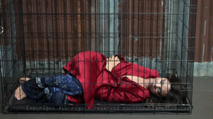 southbounderotica.net - Rebel Caged 1 thumbnail